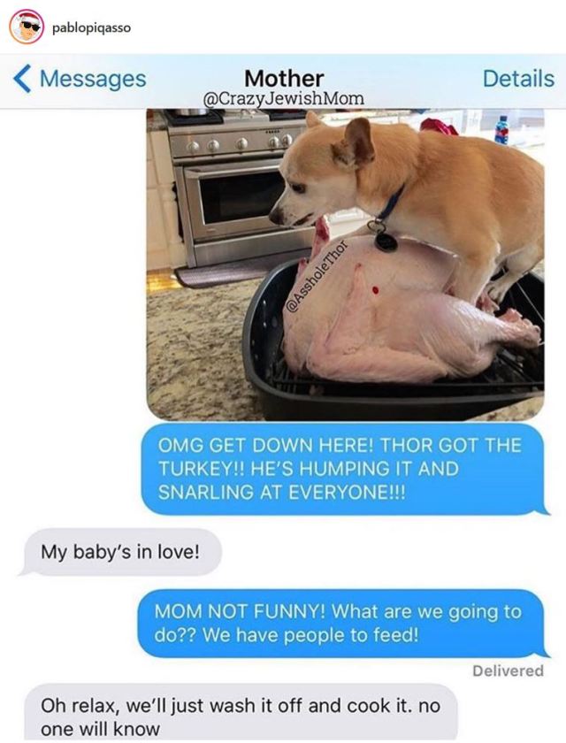 doghumpingturkey